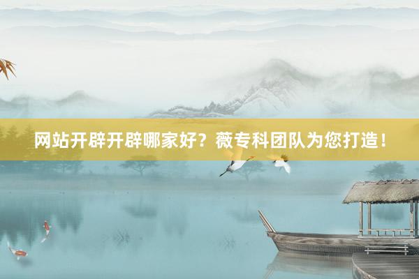 网站开辟开辟哪家好？薇专科团队为您打造！