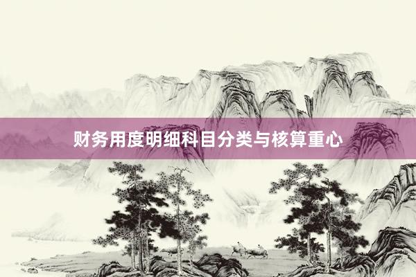 财务用度明细科目分类与核算重心